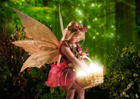 Сказочные феи