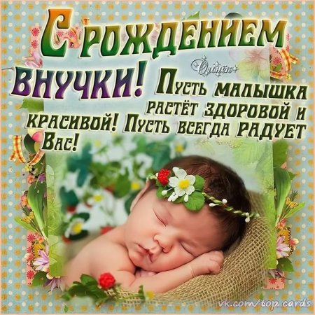 Пощдравлениес рождением внучки