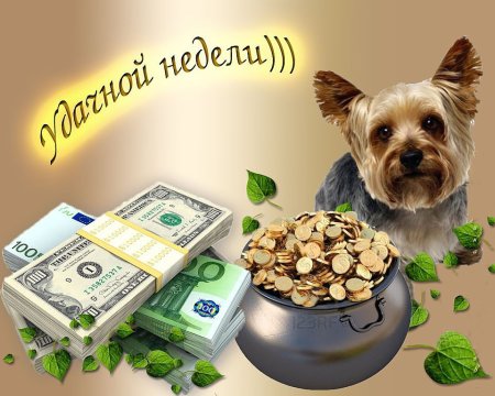Открытки с пожеланием хорошей недели