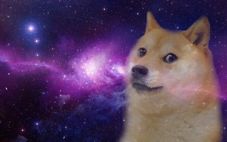 Сиба ину