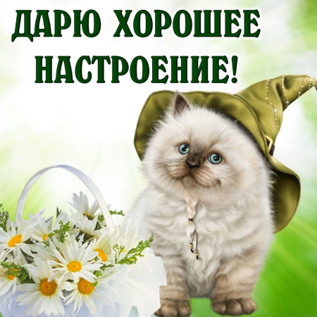 Открытки отличного настроения