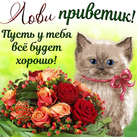 Картинки с пожеланием всего самого хорошего