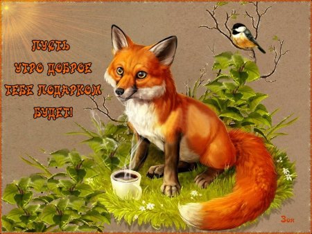 Доброе утро Лисичка