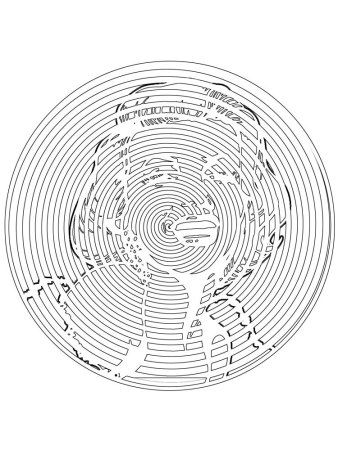 Spiroglyphics печать BTS