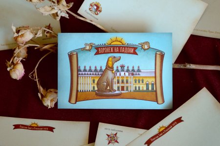 Воронеж на ладони