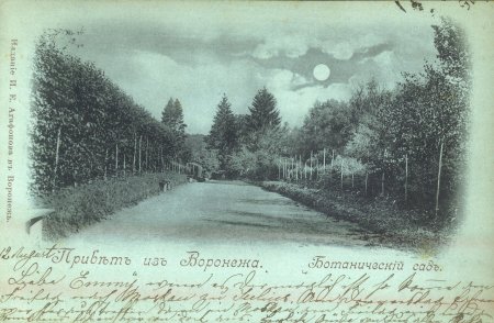 Ботанический сад (парк Динамо) Воронеж 19 век