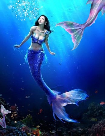 Дорида (океанида)