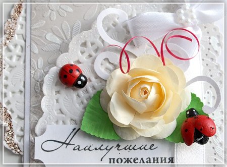 Галерея открыток