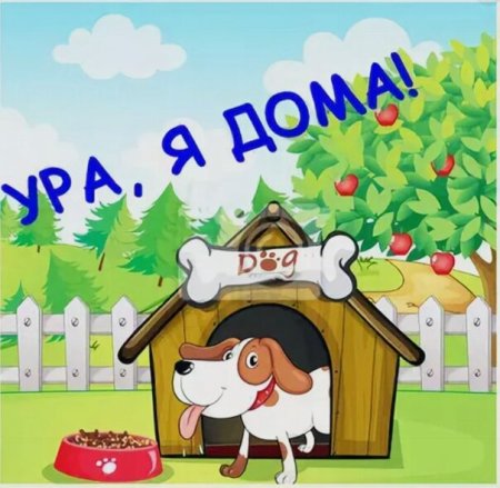 Открытка я дома