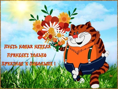 Удачной недели и хорошего настроения