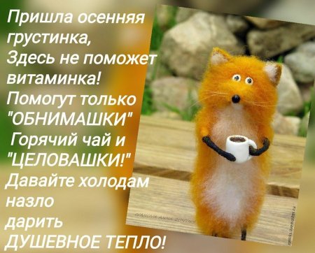 Позитивное настроение высказывания