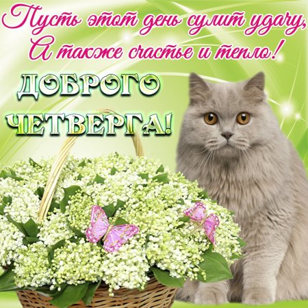 Доброго четверга
