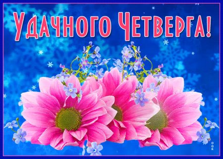 Анимация с четвергом рыбным днем