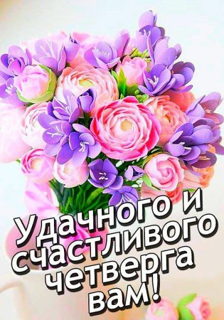 Доброе утро четверга