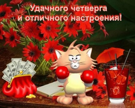 Доброго четверга и хорошего настроения