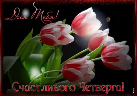 Красивое поздравление четверга