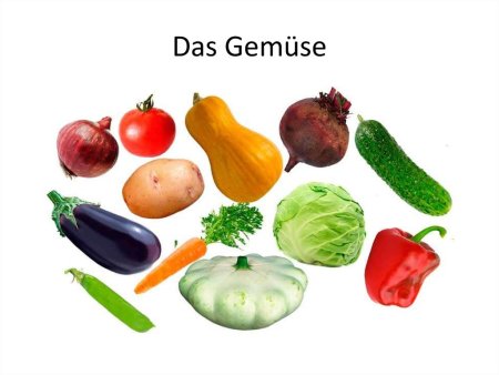 Овощи для детского сада