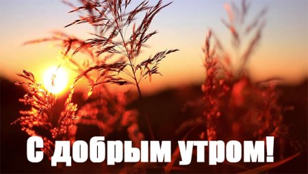 С лртоым утром пацанам