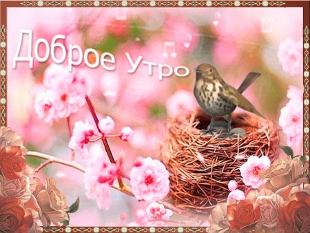 С добрым весенним утром