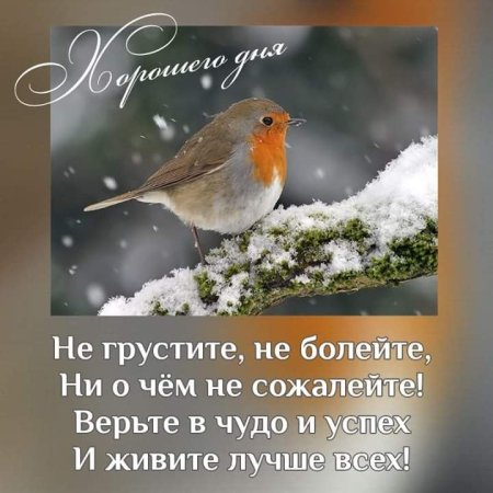 С добрым зимним утром с Цитатами