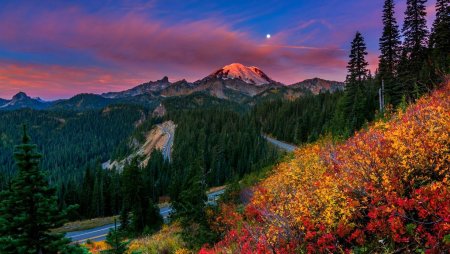 Красота природы