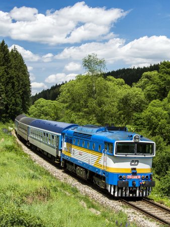 Пассажирский поезд