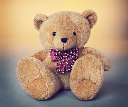 Красивый Медвежонок