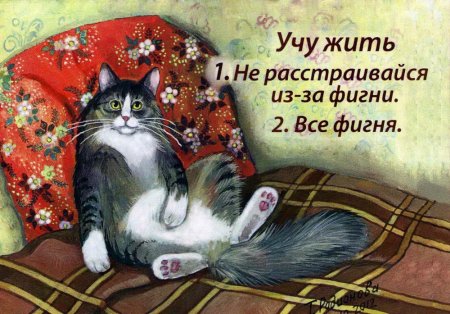 Открытки не расстраива