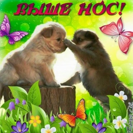 Не грусти картинки
