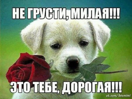 Не грусти любимая