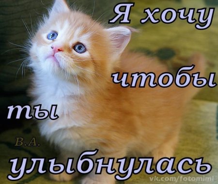Улыбнись все будет хорошо