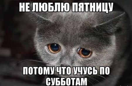 Не грусти я тебя люблю