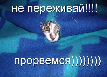 Открытка не переживай
