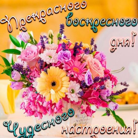 Отличного воскресного дня