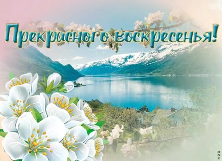 Прекрасного отдыха в Воскресный день