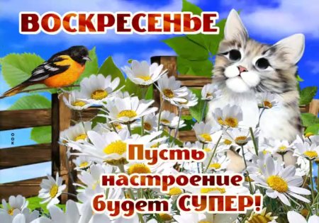Солнечного настроения в Воскресный день