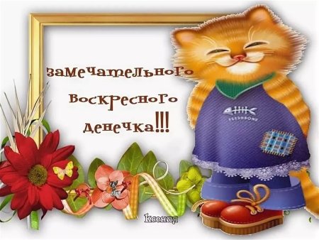 Прикольные поздравления с воскресеньем