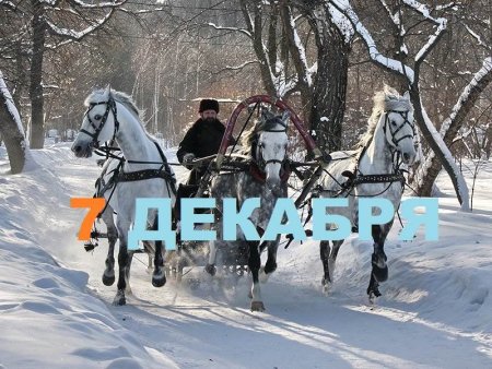 Катерина Санница 7 декабря картинки с надписями