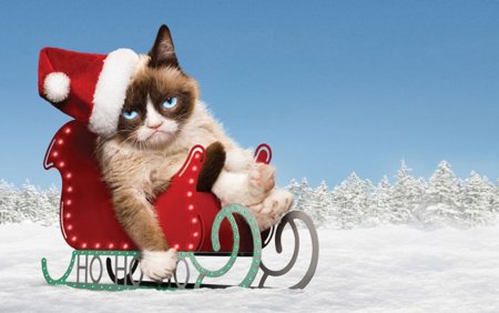 Новогодние обои на рабочий стол прикольные