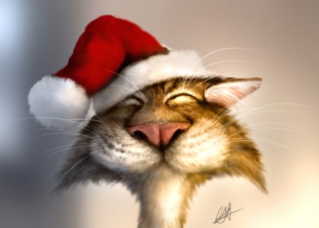 Смешные новогодние коты