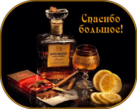 Коньяк спасибо