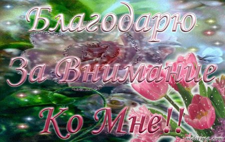 Открытка благодарю за внимание ко мне