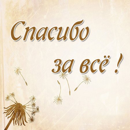 Спасибо тебе за все