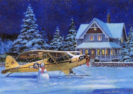 Новогодний самолет