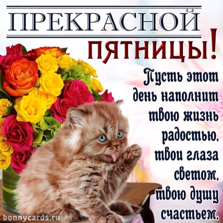 Поздравление с пятницей