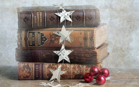 Новогодние книжные полки