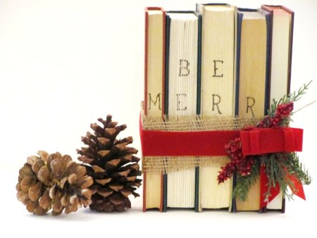 Новогодний подарок из книг
