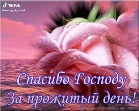 Спасибо Господу за прожитый день
