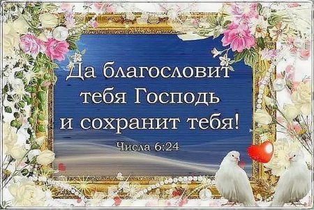 Пусть Бог благословит
