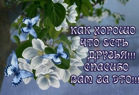 Христианские открытки со словами благодарности